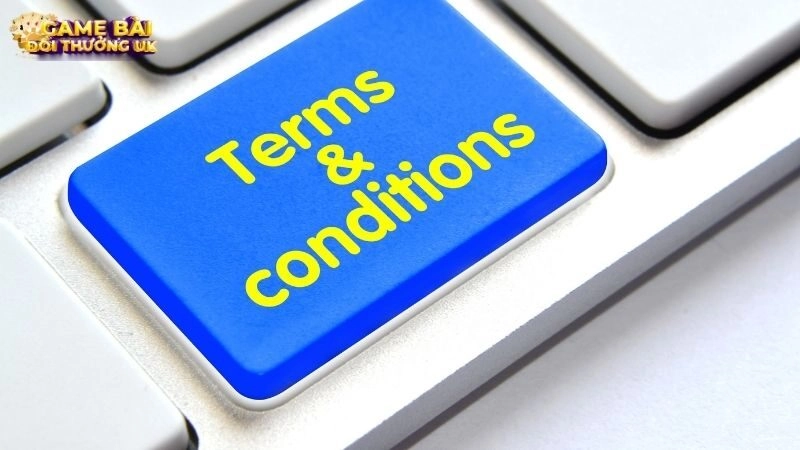Điều khoản và điều kiện